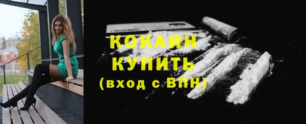 дмт Горно-Алтайск