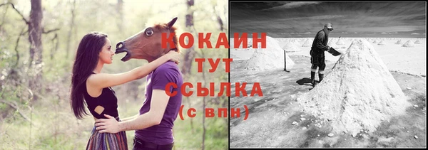 СК Горнозаводск