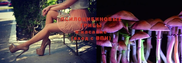 дмт Горно-Алтайск
