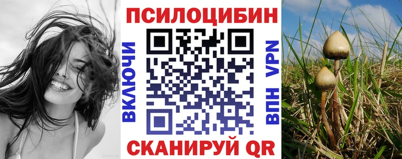 Псилоцибиновые грибы GOLDEN TEACHER  Купить закладки  Пыталово 